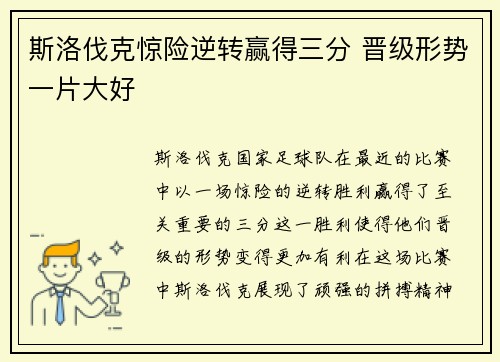 斯洛伐克惊险逆转赢得三分 晋级形势一片大好