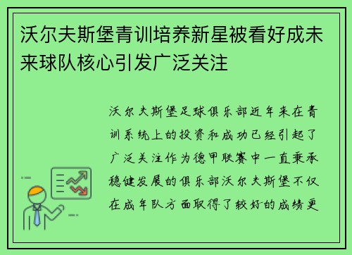 沃尔夫斯堡青训培养新星被看好成未来球队核心引发广泛关注